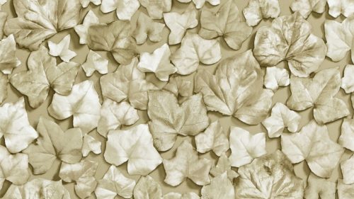 Ivy Leaf 310980